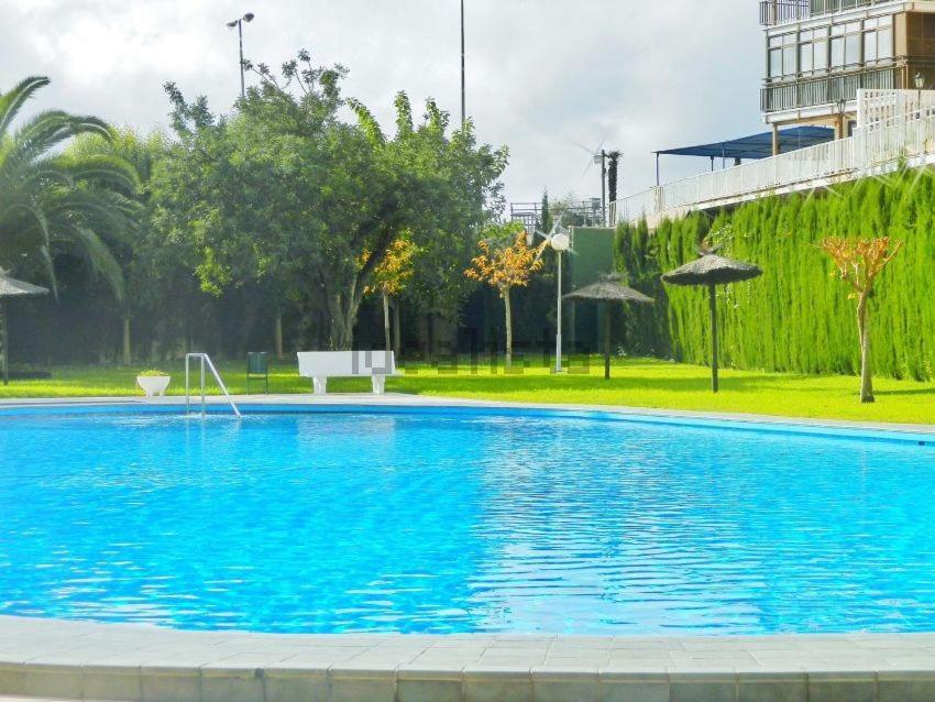 Apartamento En 1ª Linea Con Piscina Alicante Exteriör bild